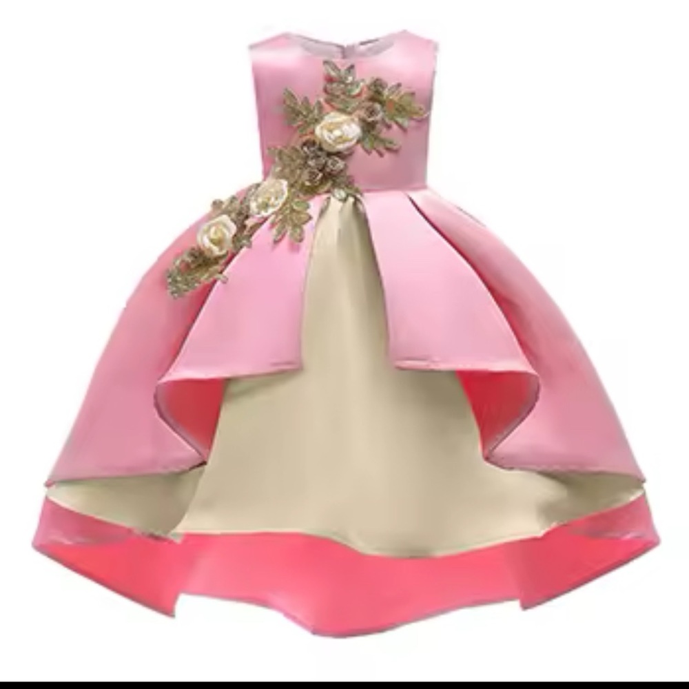 Flower Big Girl Dresses for Weddings Lace Mesh Sleeveless size 10-12